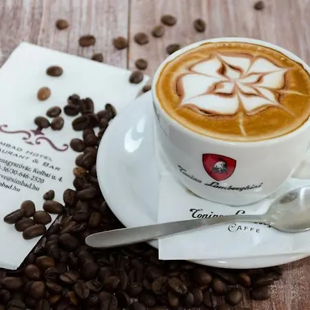 Simbad & Bar Superior فندق Mosonmagyaróvár